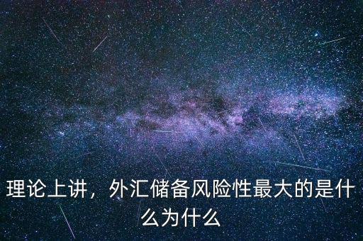 理論上講，外匯儲備風險性最大的是什么為什么