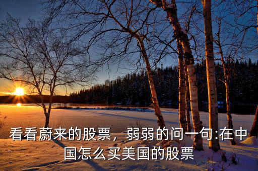 看看蔚來的股票，弱弱的問一句:在中國怎么買美國的股票