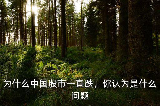 為什么中國(guó)股市一直跌，你認(rèn)為是什么問(wèn)題