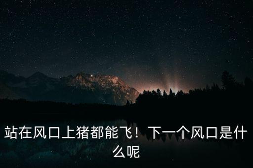 站在風(fēng)口上豬都能飛！下一個(gè)風(fēng)口是什么呢