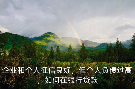企業(yè)和個人征信良好，但個人負(fù)債過高，如何在銀行貸款