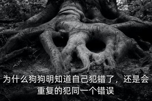 為什么狗狗明知道自己犯錯了，還是會重復(fù)的犯同一個錯誤