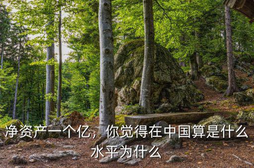 凈資產(chǎn)一個(gè)億，你覺得在中國(guó)算是什么水平為什么