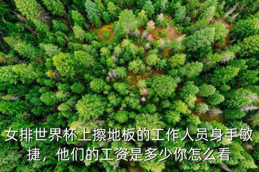 女排世界杯上擦地板的工作人員身手敏捷，他們的工資是多少你怎么看
