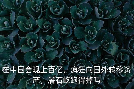在中國(guó)套現(xiàn)上百億，瘋狂向國(guó)外轉(zhuǎn)移資產(chǎn)，潘石屹跑得掉嗎