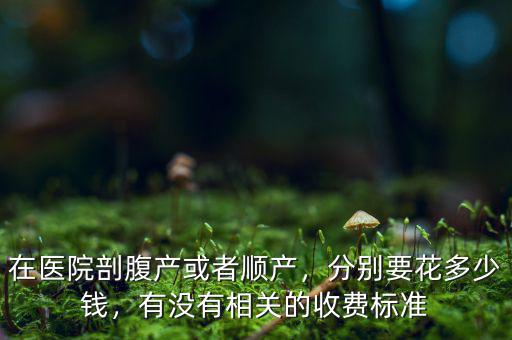 在醫(yī)院剖腹產(chǎn)或者順產(chǎn)，分別要花多少錢，有沒(méi)有相關(guān)的收費(fèi)標(biāo)準(zhǔn)