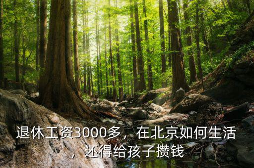 退休工資3000多，在北京如何生活，還得給孩子攢錢