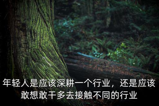 年輕人是應(yīng)該深耕一個(gè)行業(yè)，還是應(yīng)該敢想敢干多去接觸不同的行業(yè)