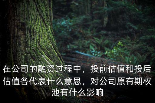 在公司的融資過程中，投前估值和投后估值各代表什么意思，對(duì)公司原有期權(quán)池有什么影響