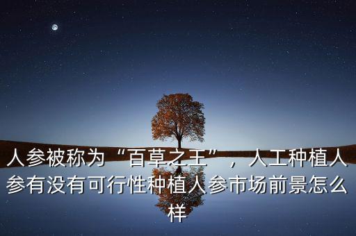 人參被稱(chēng)為“百草之王”，人工種植人參有沒(méi)有可行性種植人參市場(chǎng)前景怎么樣