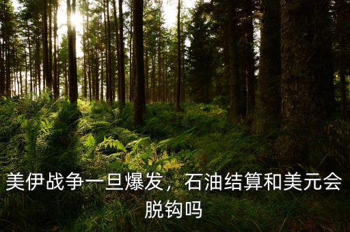 美伊戰(zhàn)爭一旦爆發(fā)，石油結算和美元會脫鉤嗎