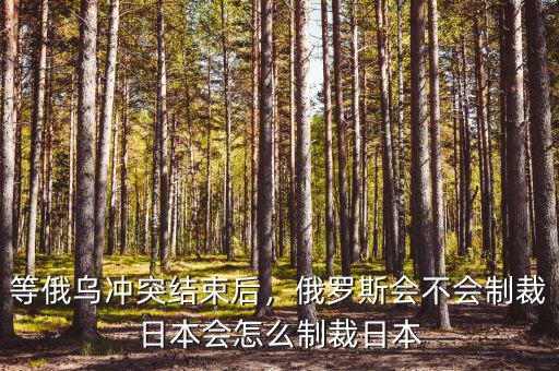 等俄烏沖突結(jié)束后，俄羅斯會不會制裁日本會怎么制裁日本