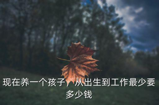 現(xiàn)在養(yǎng)一個孩子，從出生到工作最少要多少錢