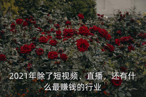 2021年除了短視頻、直播，還有什么最賺錢的行業(yè)