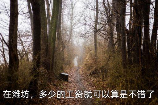 在濰坊，多少的工資就可以算是不錯了