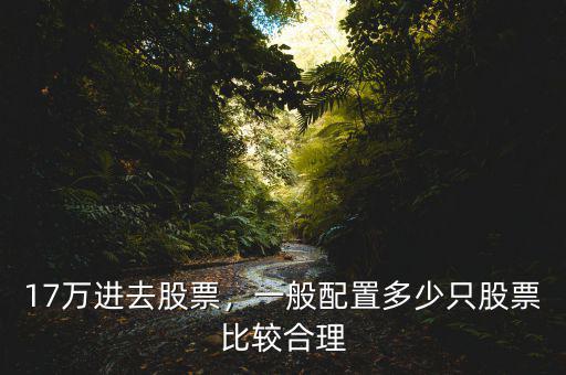 17萬進(jìn)去股票，一般配置多少只股票比較合理