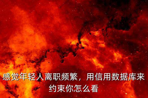 感覺年輕人離職頻繁，用信用數(shù)據(jù)庫來約束你怎么看