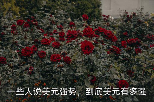 一些人說美元強勢，到底美元有多強