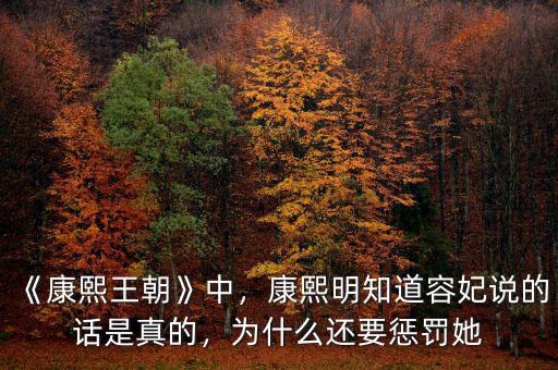 《康熙王朝》中，康熙明知道容妃說的話是真的，為什么還要懲罰她