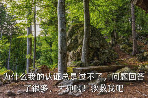 為什么我的認證總是過不了，問題回答了很多，大神??！救救我吧