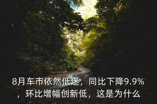 8月車市依然低迷，同比下降9.9%，環(huán)比增幅創(chuàng)新低，這是為什么