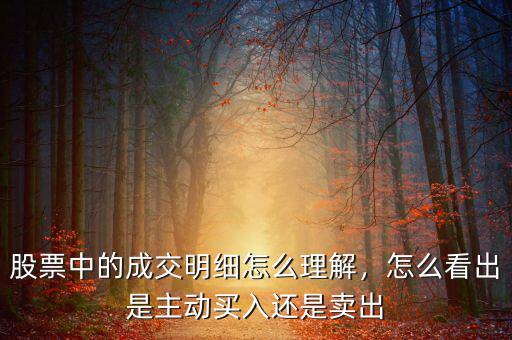 股票中的成交明細怎么理解，怎么看出是主動買入還是賣出