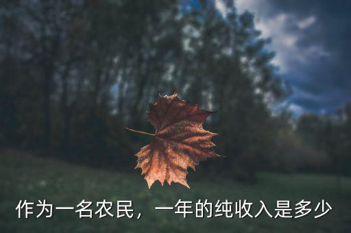 作為一名農(nóng)民，一年的純收入是多少