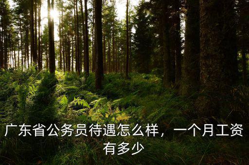 廣東省公務(wù)員待遇怎么樣，一個月工資有多少