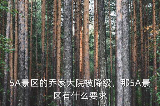5A景區(qū)的喬家大院被降級(jí)，那5A景區(qū)有什么要求