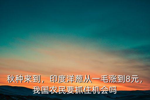 秋種來到，印度洋蔥從一毛漲到8元，我國農民要抓住機會嗎
