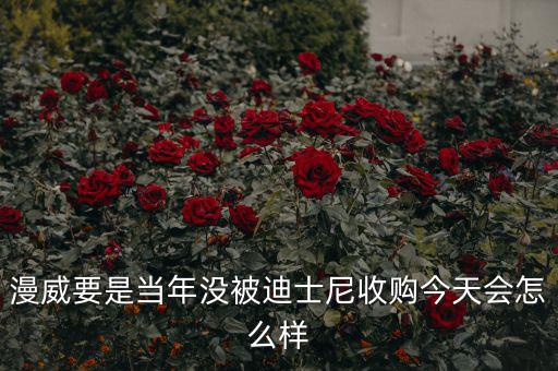 迪士尼什么時(shí)候收購(gòu)漫威,迪士尼收購(gòu)?？怂?/></a></span><span id=