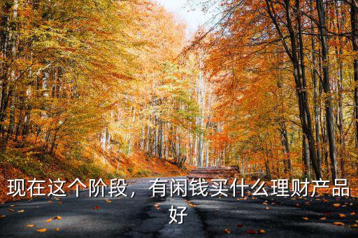 現(xiàn)在這個(gè)階段，有閑錢買什么理財(cái)產(chǎn)品好