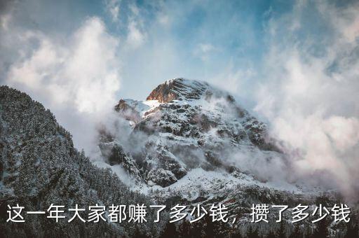這一年大家都賺了多少錢(qián)，攢了多少錢(qián)