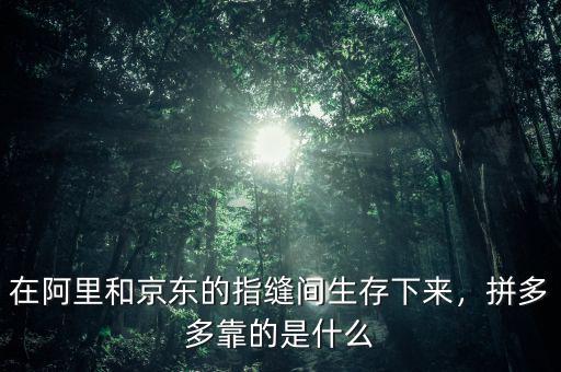 在阿里和京東的指縫間生存下來，拼多多靠的是什么