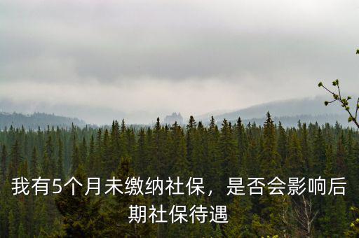 我有5個(gè)月未繳納社保，是否會(huì)影響后期社保待遇