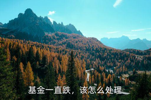 基金一直跌，該怎么處理