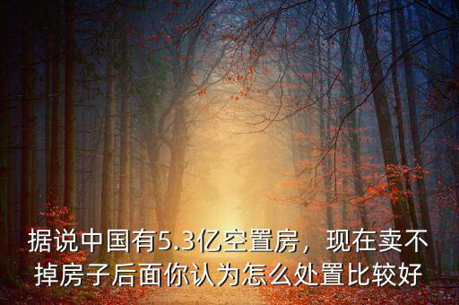 據(jù)說中國有5.3億空置房，現(xiàn)在賣不掉房子后面你認(rèn)為怎么處置比較好