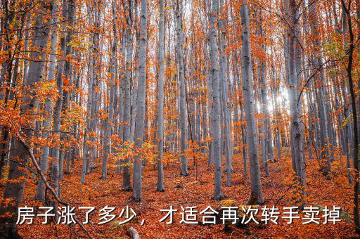 房子漲了多少，才適合再次轉(zhuǎn)手賣掉