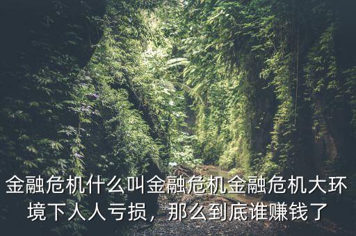金融危機(jī)什么叫金融危機(jī)金融危機(jī)大環(huán)境下人人虧損，那么到底誰賺錢了