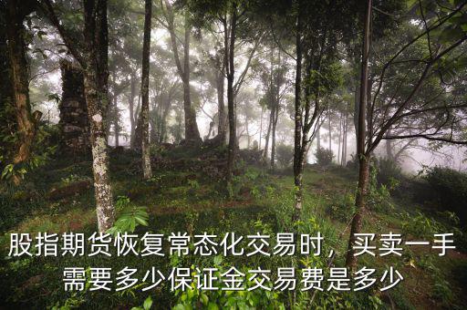 股指期貨恢復(fù)常態(tài)化交易時(shí)，買賣一手需要多少保證金交易費(fèi)是多少