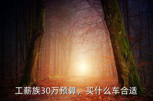 工薪族30萬預(yù)算，買什么車合適