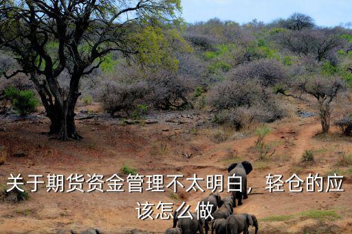 關(guān)于期貨資金管理不太明白，輕倉(cāng)的應(yīng)該怎么做