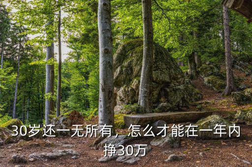 30歲還一無(wú)所有，怎么才能在一年內(nèi)掙30萬(wàn)