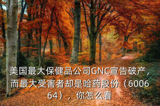 美國(guó)最大保健品公司GNC宣告破產(chǎn)，而最大受害者卻是哈藥股份（600664），你怎么看