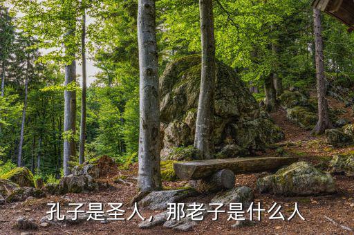 孔子是圣人，那老子是什么人