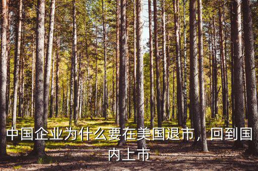 中國(guó)企業(yè)為什么要在美國(guó)退市，回到國(guó)內(nèi)上市
