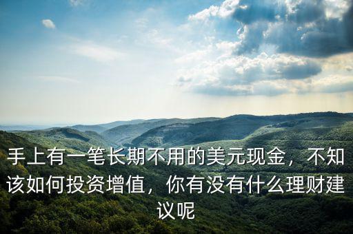 手上有一筆長(zhǎng)期不用的美元現(xiàn)金，不知該如何投資增值，你有沒有什么理財(cái)建議呢