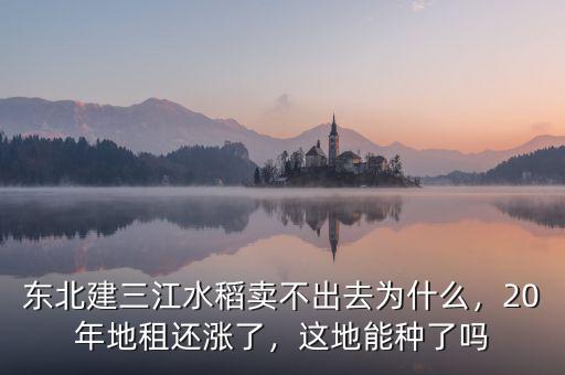 東北建三江水稻賣不出去為什么，20年地租還漲了，這地能種了嗎