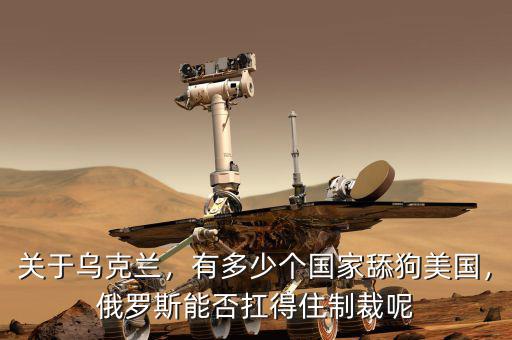 關(guān)于烏克蘭，有多少個(gè)國家舔狗美國，俄羅斯能否扛得住制裁呢