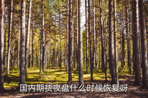 國(guó)內(nèi)期貨夜盤什么時(shí)候恢復(fù)呀